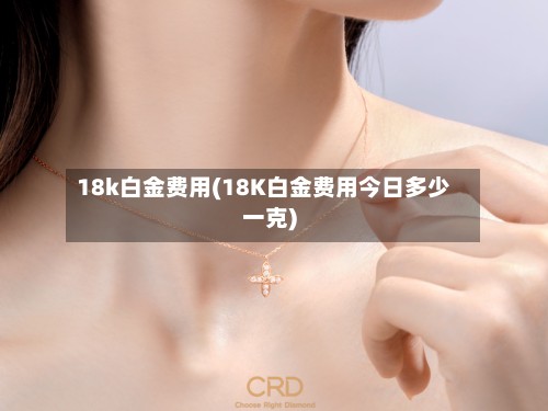 18k白金费用(18K白金费用今日多少一克)-第2张图片