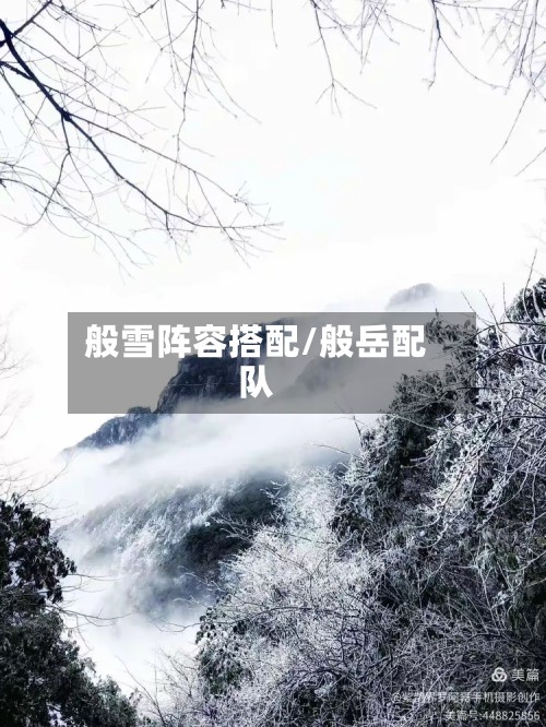 般雪阵容搭配/般岳配队-第2张图片