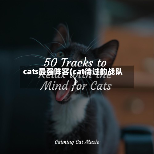 cats最强阵容(cat待过的战队)-第3张图片