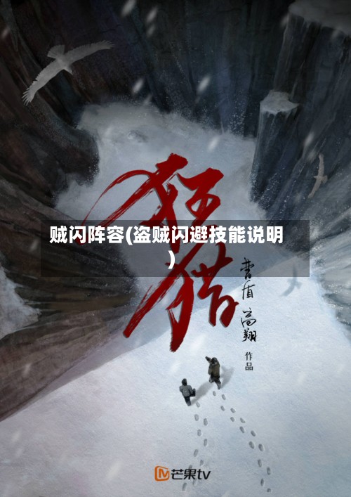 贼闪阵容(盗贼闪避技能说明)