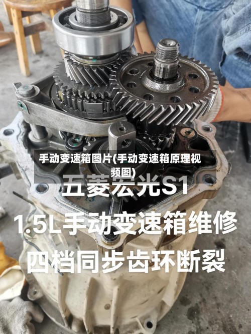 手动变速箱图片(手动变速箱原理视频图)