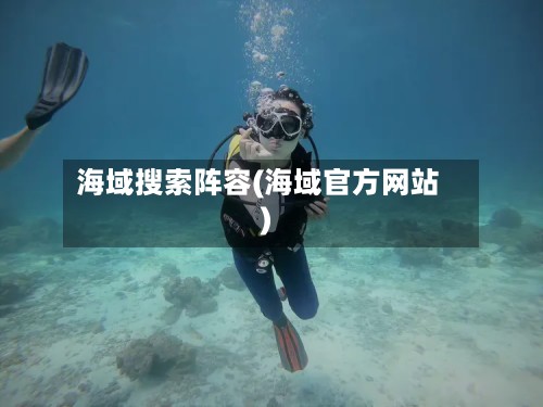 海域搜索阵容(海域官方网站)