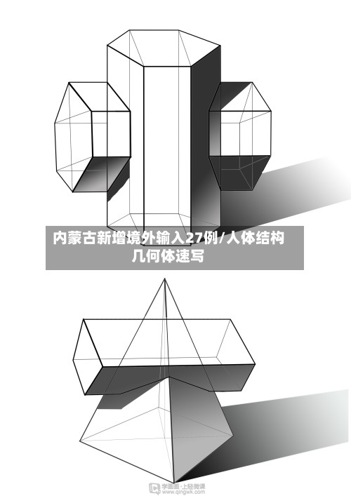 内蒙古新增境外输入27例/人体结构几何体速写