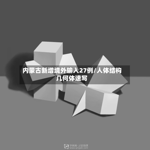 内蒙古新增境外输入27例/人体结构几何体速写-第2张图片