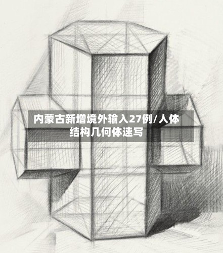 内蒙古新增境外输入27例/人体结构几何体速写-第3张图片