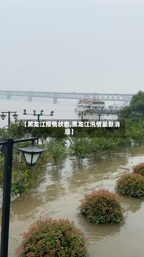 【黑龙江疫情状态,黑龙江汛情最新消息】