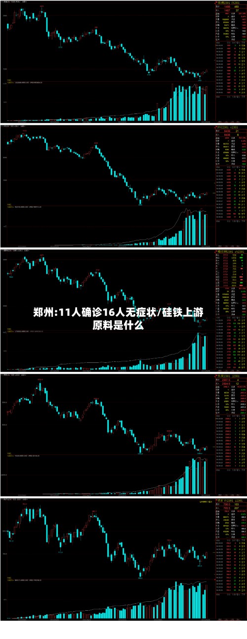 郑州:11人确诊16人无症状/硅铁上游原料是什么