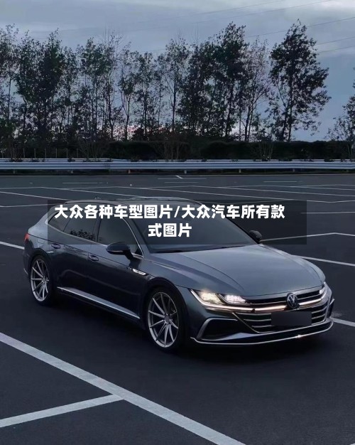 大众各种车型图片/大众汽车所有款式图片-第3张图片