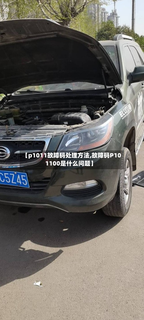 【p1011故障码处理方法,故障码P101100是什么问题】