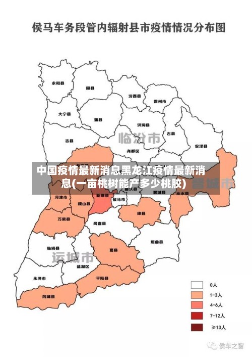 中国疫情最新消息黑龙江疫情最新消息(一亩桃树能产多少桃胶)