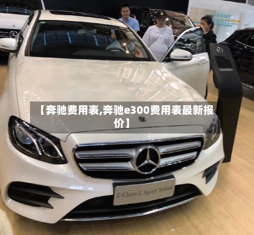 【奔驰费用表,奔驰e300费用表最新报价】-第2张图片
