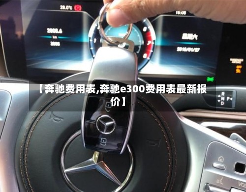 【奔驰费用表,奔驰e300费用表最新报价】-第3张图片