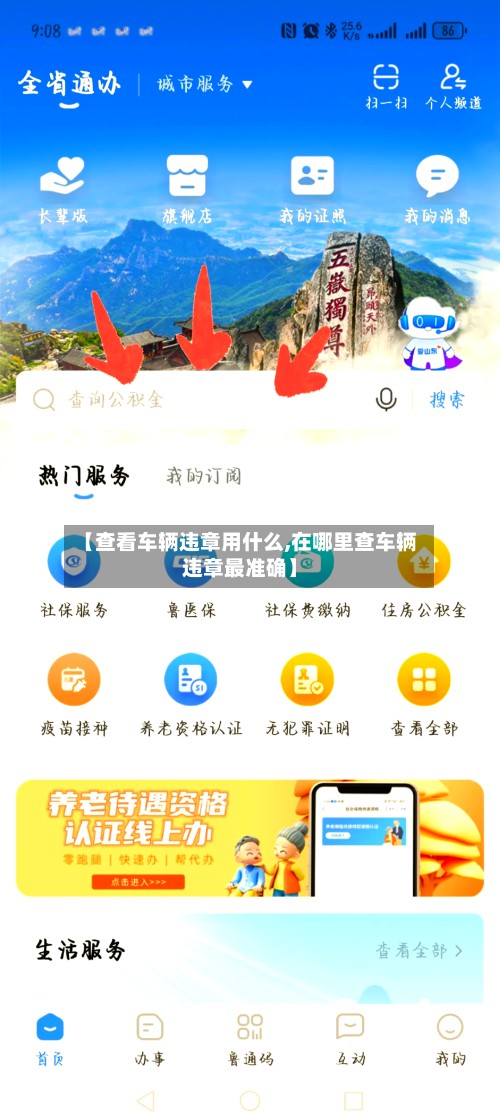 【查看车辆违章用什么,在哪里查车辆违章最准确】