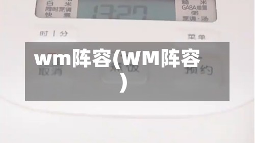 wm阵容(WM阵容)-第2张图片