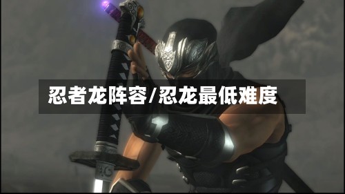 忍者龙阵容/忍龙最低难度-第3张图片