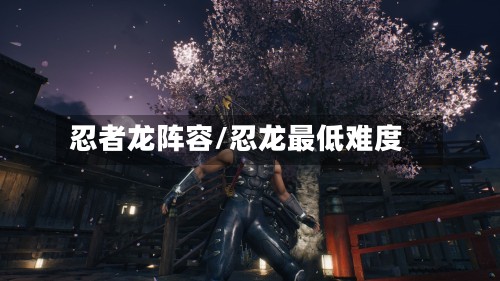 忍者龙阵容/忍龙最低难度-第2张图片