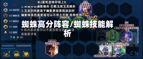 蜘蛛高分阵容/蜘蛛技能解析