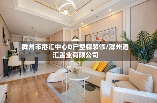 滁州市港汇中心D户型精装修/滁州港汇置业有限公司