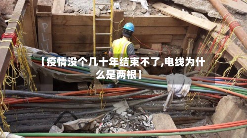 【疫情没个几十年结束不了,电线为什么是两根】
