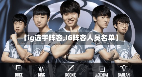【ig选手阵容,IG阵容人员名单】
