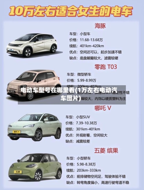 电动车型号在哪里看(1万左右电动汽车图片)-第2张图片
