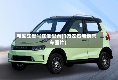 电动车型号在哪里看(1万左右电动汽车图片)