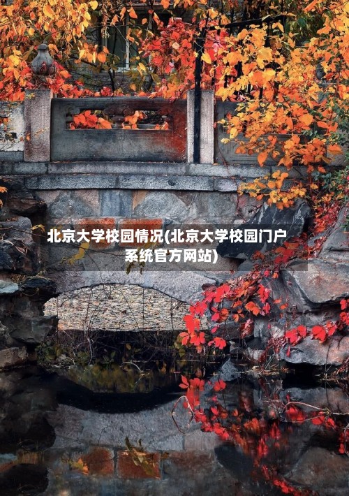 北京大学校园情况(北京大学校园门户系统官方网站)