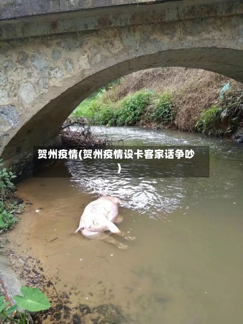 贺州疫情(贺州疫情设卡客家话争吵)