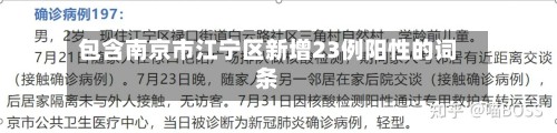 包含南京市江宁区新增23例阳性的词条-第3张图片