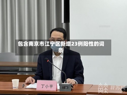 包含南京市江宁区新增23例阳性的词条-第2张图片