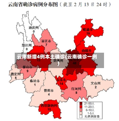 云南新增4例本土确诊(云南确诊一例)