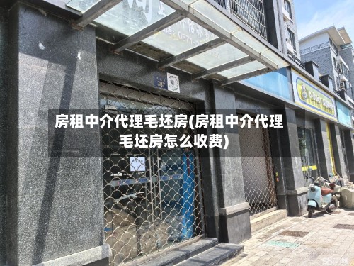 房租中介代理毛坯房(房租中介代理毛坯房怎么收费)