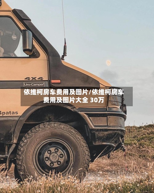 依维柯房车费用及图片/依维柯房车费用及图片大全 30万-第2张图片