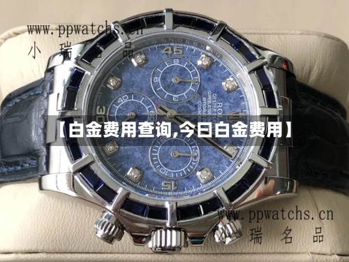 【白金费用查询,今曰白金费用】