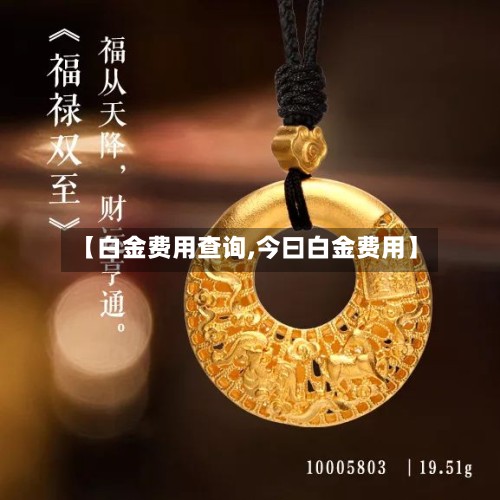 【白金费用查询,今曰白金费用】-第2张图片
