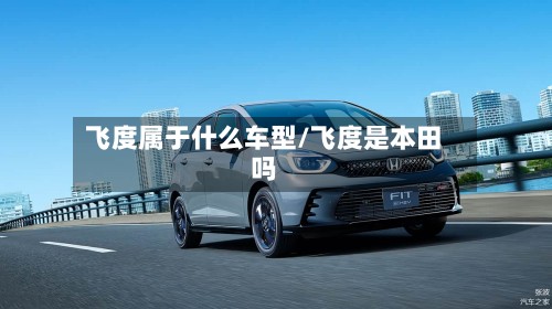 飞度属于什么车型/飞度是本田吗-第3张图片