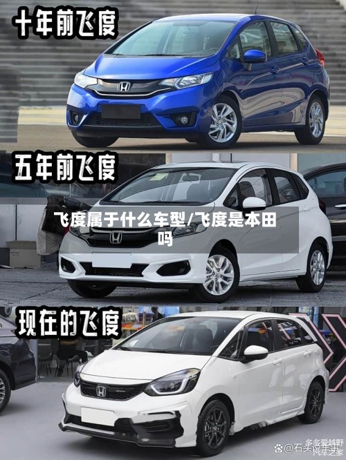 飞度属于什么车型/飞度是本田吗