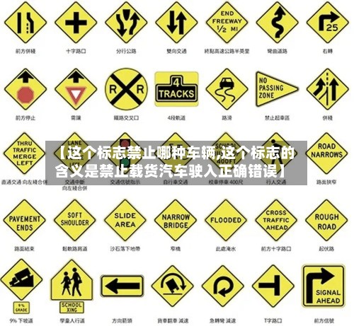 【这个标志禁止哪种车辆,这个标志的含义是禁止载货汽车驶入正确错误】-第3张图片