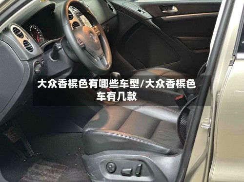 大众香槟色有哪些车型/大众香槟色车有几款-第2张图片