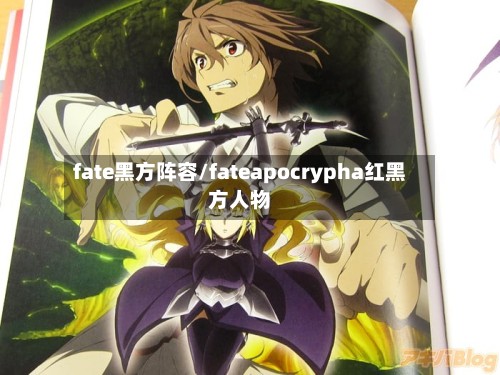 fate黑方阵容/fateapocrypha红黑方人物-第3张图片