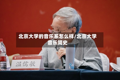 北京大学的音乐系怎么样/北京大学音乐简史