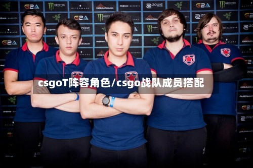 csgoT阵容角色/csgo战队成员搭配