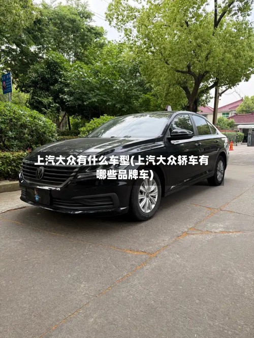 上汽大众有什么车型(上汽大众轿车有哪些品牌车)-第3张图片
