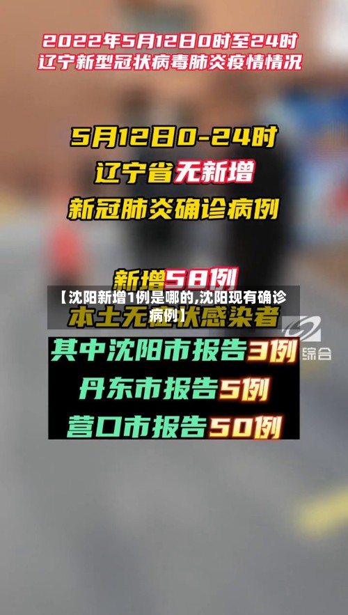 【沈阳新增1例是哪的,沈阳现有确诊病例】-第3张图片