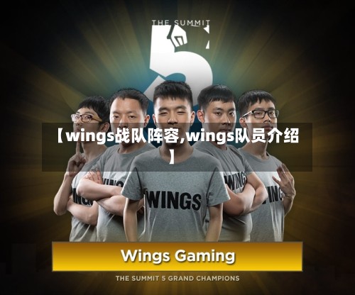 【wings战队阵容,wings队员介绍】