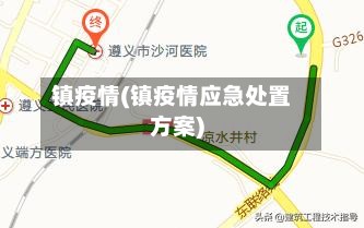 镇疫情(镇疫情应急处置方案)