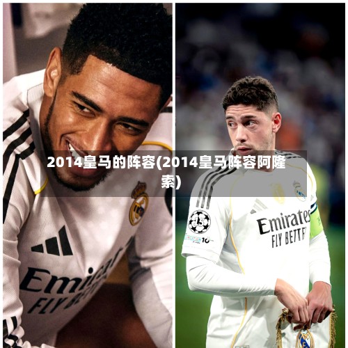 2014皇马的阵容(2014皇马阵容阿隆索)