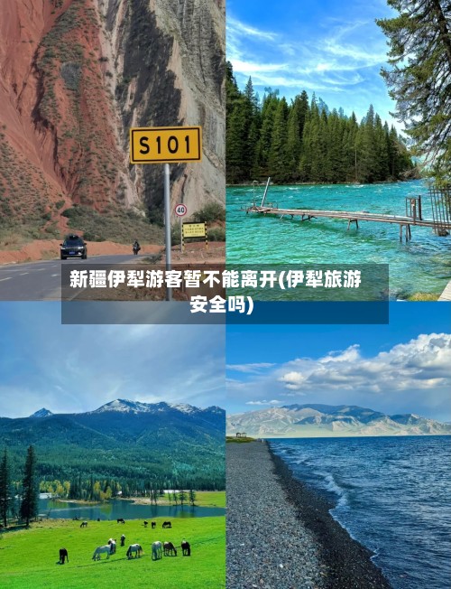 新疆伊犁游客暂不能离开(伊犁旅游安全吗)