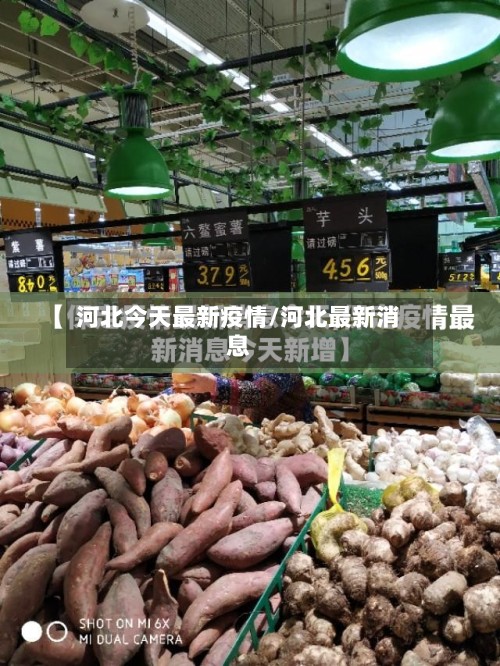 河北今天最新疫情/河北最新消息