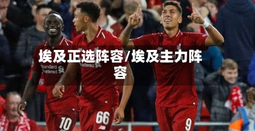 埃及正选阵容/埃及主力阵容-第3张图片